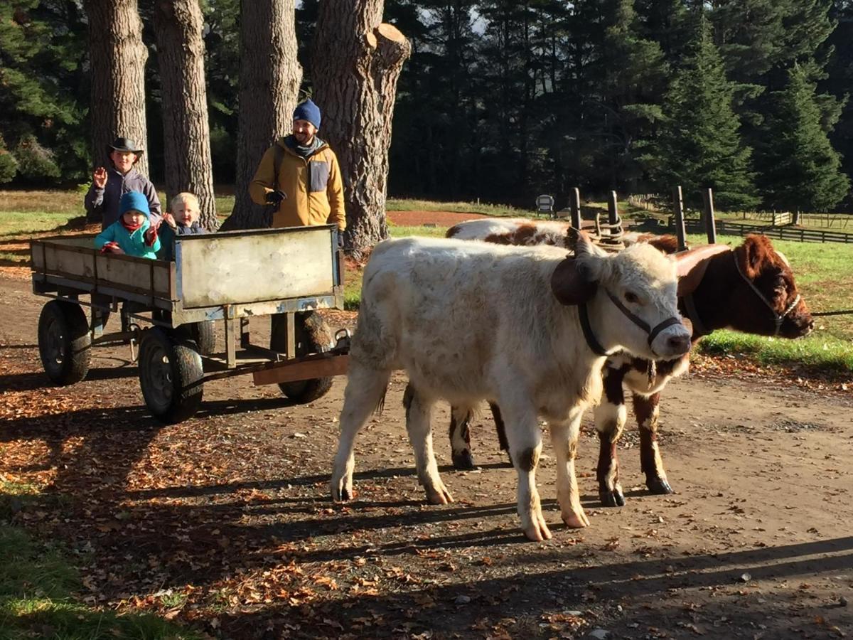Mohaka River Farm Te Haroto Экстерьер фото