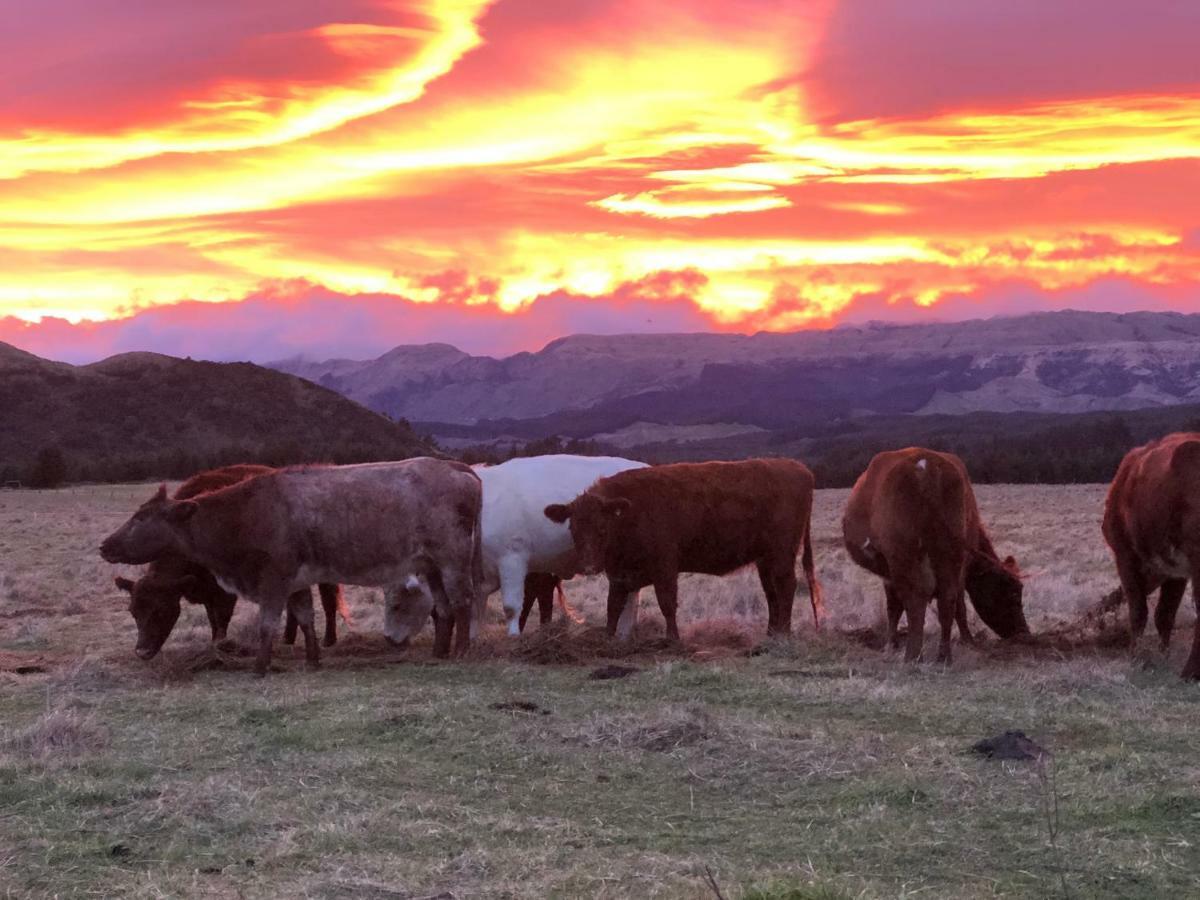 Mohaka River Farm Te Haroto Экстерьер фото